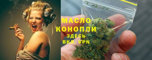 дживик Богородицк