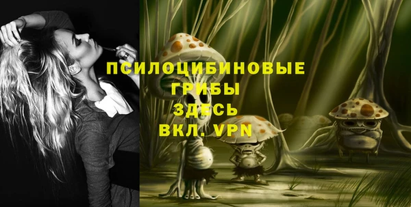 дживик Богородицк