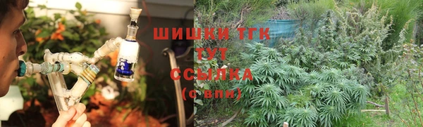 ешки Богданович